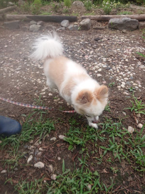 f:id:roukenhome-ann:20190823075617j:plain