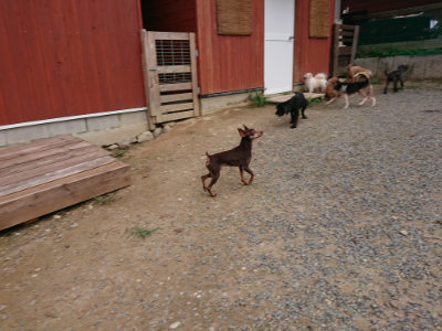 f:id:roukenhome-ann:20190823075713j:plain