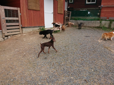 f:id:roukenhome-ann:20190823075720j:plain