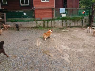 f:id:roukenhome-ann:20190823075743j:plain