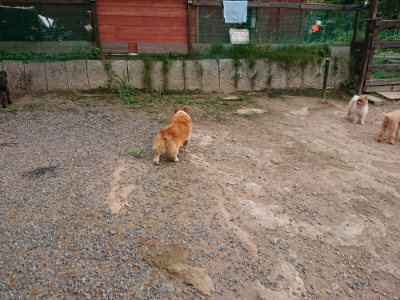 f:id:roukenhome-ann:20190823075749j:plain