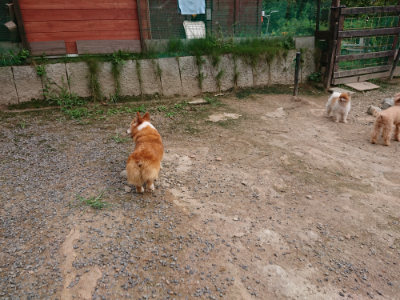 f:id:roukenhome-ann:20190823075809j:plain