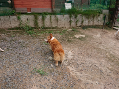 f:id:roukenhome-ann:20190823075815j:plain