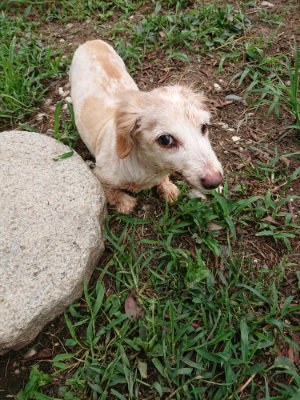 f:id:roukenhome-ann:20190823075915j:plain