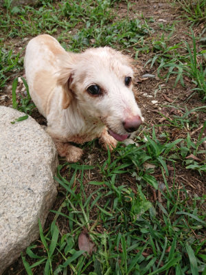f:id:roukenhome-ann:20190823075922j:plain