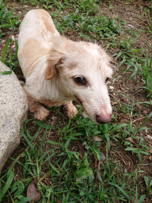 f:id:roukenhome-ann:20190823075927j:plain