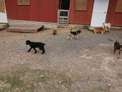 f:id:roukenhome-ann:20190823080003j:plain