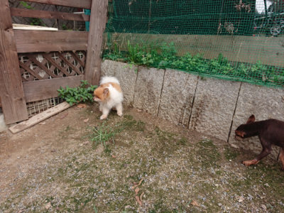 f:id:roukenhome-ann:20190823080215j:plain