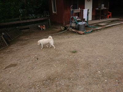 f:id:roukenhome-ann:20190823080224j:plain