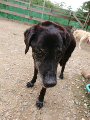f:id:roukenhome-ann:20190823080230j:plain