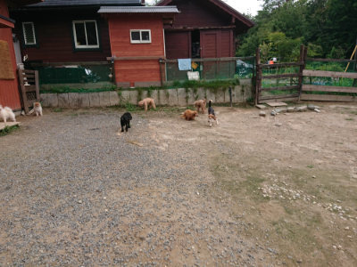 f:id:roukenhome-ann:20190823080249j:plain