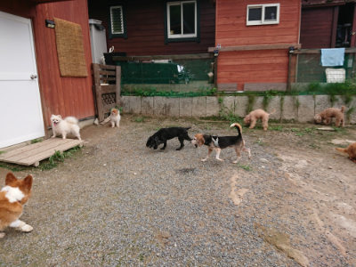 f:id:roukenhome-ann:20190823080316j:plain