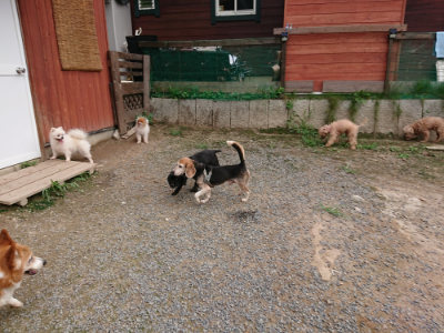 f:id:roukenhome-ann:20190823080331j:plain