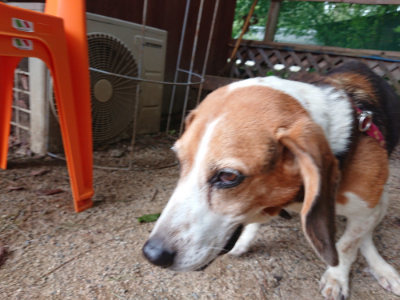 f:id:roukenhome-ann:20190823080335j:plain