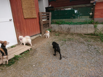 f:id:roukenhome-ann:20190823080348j:plain