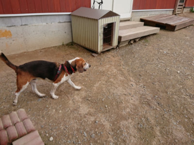 f:id:roukenhome-ann:20190823080359j:plain