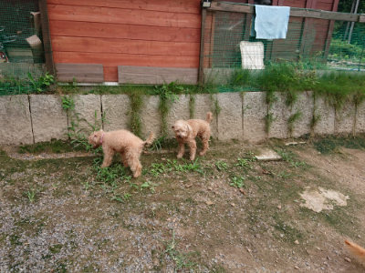 f:id:roukenhome-ann:20190823080409j:plain