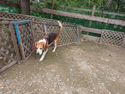 f:id:roukenhome-ann:20190823080422j:plain