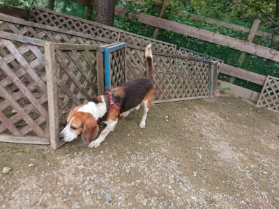 f:id:roukenhome-ann:20190823080438j:plain
