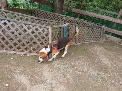 f:id:roukenhome-ann:20190823080443j:plain