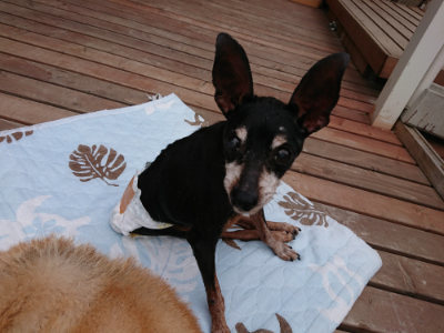 f:id:roukenhome-ann:20190823080518j:plain