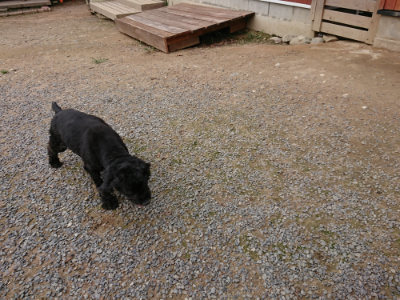 f:id:roukenhome-ann:20190823080615j:plain