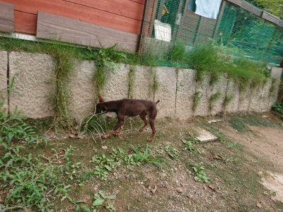 f:id:roukenhome-ann:20190823080635j:plain