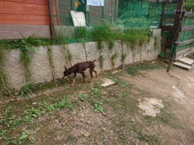 f:id:roukenhome-ann:20190823080653j:plain