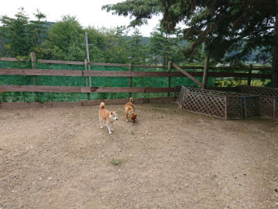f:id:roukenhome-ann:20190823080721j:plain