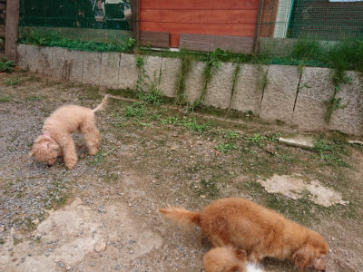 f:id:roukenhome-ann:20190823082349j:plain