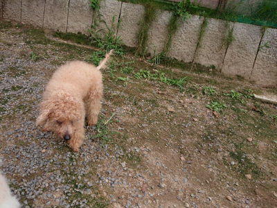 f:id:roukenhome-ann:20190823082405j:plain
