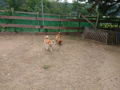 f:id:roukenhome-ann:20190823082416j:plain
