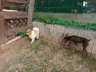 f:id:roukenhome-ann:20190823082421j:plain