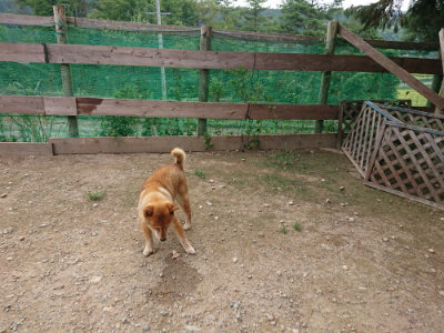 f:id:roukenhome-ann:20190823082426j:plain