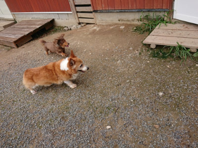f:id:roukenhome-ann:20190823082443j:plain