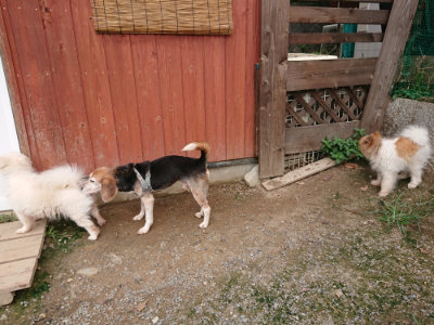 f:id:roukenhome-ann:20190823082500j:plain