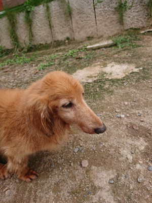 f:id:roukenhome-ann:20190823082616j:plain