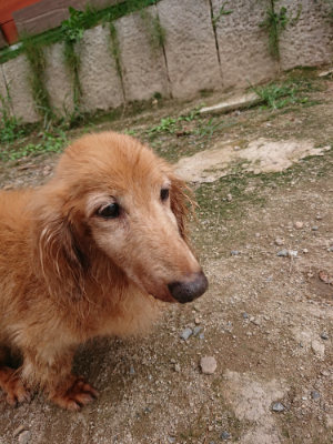 f:id:roukenhome-ann:20190823082638j:plain