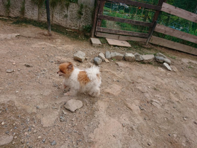 f:id:roukenhome-ann:20190823082750j:plain
