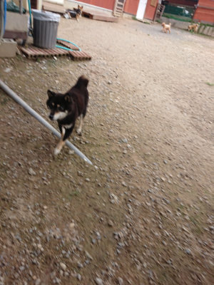 f:id:roukenhome-ann:20190823082754j:plain