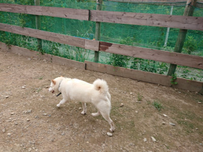 f:id:roukenhome-ann:20190823082800j:plain