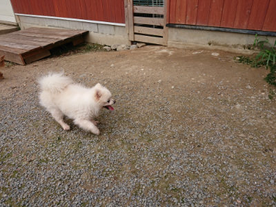 f:id:roukenhome-ann:20190823100059j:plain
