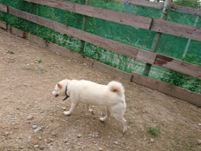 f:id:roukenhome-ann:20190823100115j:plain