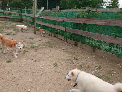 f:id:roukenhome-ann:20190823100130j:plain