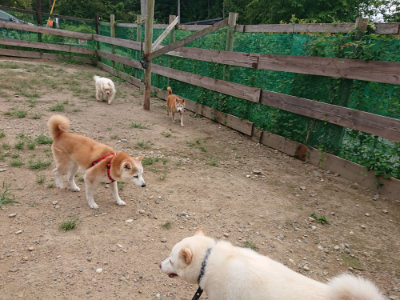 f:id:roukenhome-ann:20190823100134j:plain
