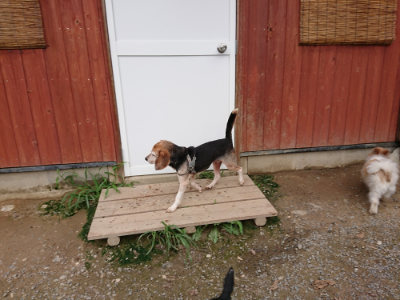 f:id:roukenhome-ann:20190823100152j:plain