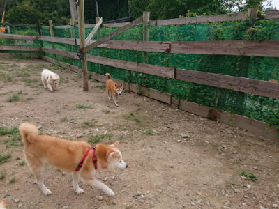 f:id:roukenhome-ann:20190823100157j:plain