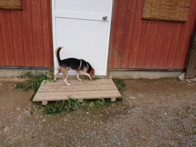 f:id:roukenhome-ann:20190823100230j:plain