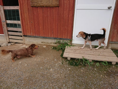 f:id:roukenhome-ann:20190823100247j:plain