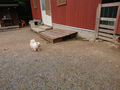 f:id:roukenhome-ann:20190823100315j:plain